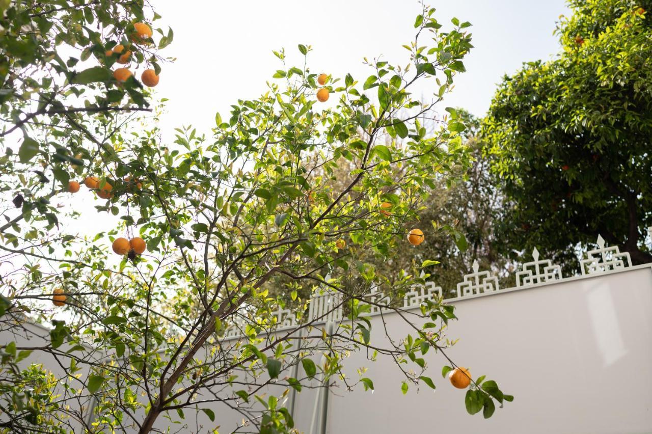 Casa Blue Dove Apartment Chania  Luaran gambar